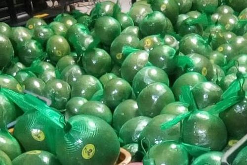 Bưởi da xanh giảm giá còn 30.000 đồng/kg vẫn ế 'sưng'