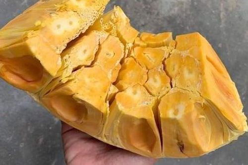 Mít Thái giảm giá, người trồng 'khóc' vì chỉ đủ tiền phân bón
