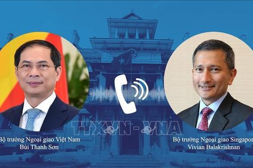 Việt Nam đề nghị Singapore hỗ trợ hoặc chuyển nhượng lại vaccine dôi dư