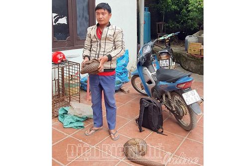 Bắt giữ 2 đối tượng vận chuyển động vật hoang dã