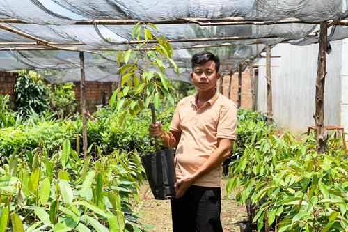 'Ngã ở đâu thì đứng dậy ở đó'