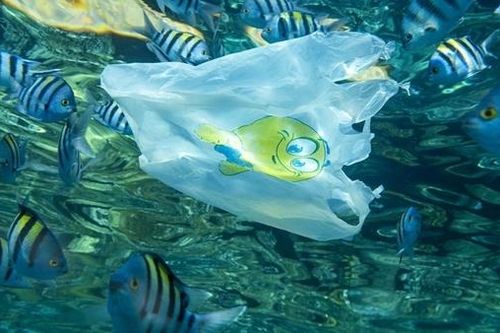 Chống ô nhiễm vi nhựa bằng nam châm