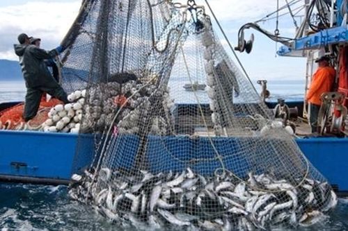 WTO bế tắc với thỏa thuận xóa bỏ trợ cấp nghề cá