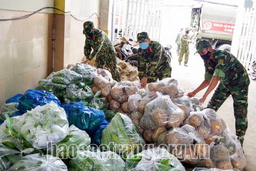 Quân khu 9 thu mua nông sản để hỗ trợ người dân TP Hồ Chí Minh