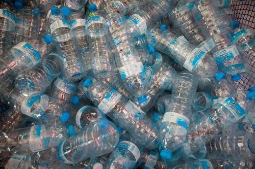 WWF: Chi phí xã hội của lượng nhựa sản xuất năm 2019 cao hơn GDP Ấn Độ