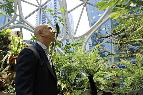 Tỷ phú Jeff Bezos đầu tư vào startup phát triển công nghệ đảo ngược quá trình lão hóa