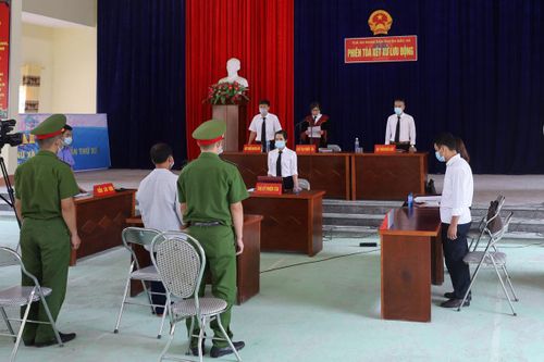 Bắc Hà xử lý nghiêm hành vi xâm lấn đất rừng tự nhiên