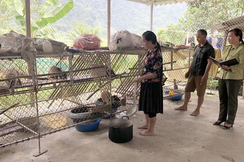 Tạo điều kiện phát triển chăn nuôi động vật hoang dã