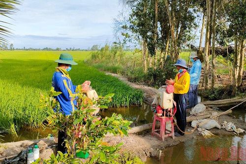 Hỗ trợ các tỉnh phía nam ổn định sản xuất