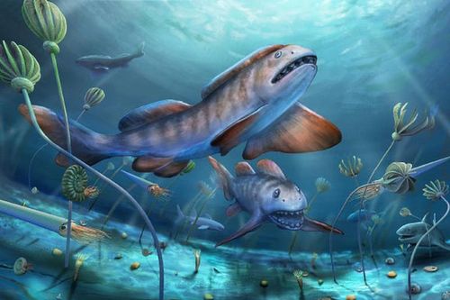 Hồi sinh quái vật 290 triệu tuổi, tổ tiên 'bóng ma đại dương'