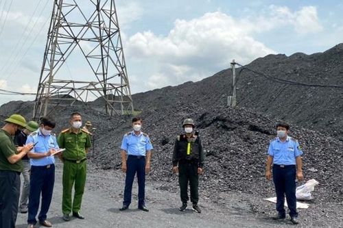 Công ty của đại gia lan đột biến đất Mỏ trốn thuế khoảng 25 tỉ đồng