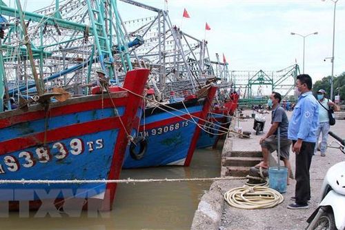 Chủ động ứng phó với bão Côn Sơn trong bối cảnh phòng, chống dịch