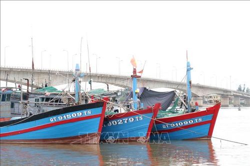 Yêu cầu các địa phương liên hệ ngay từng tàu, thuyền để biết hướng tránh bão số 5