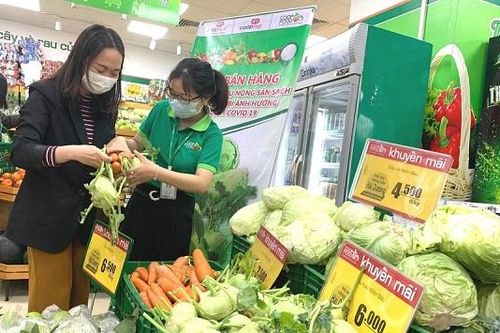Kết nối hơn 1400 nhà cung cấp, tiêu thụ hàng trăm tấn nông sản mỗi ngày