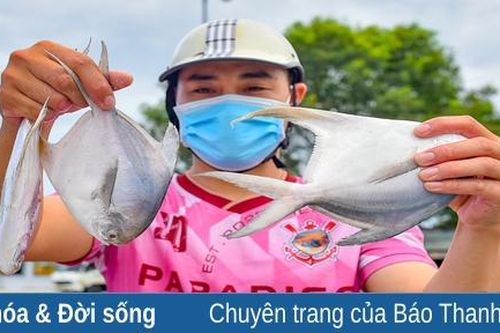Ngư dân cảng cá Lạch Hới khẩn trương bốc cá 'chạy bão' số 5
