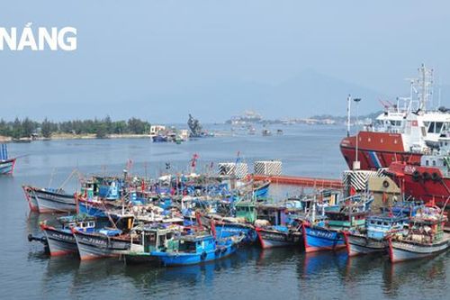 Thúc đẩy đầu tư dự án xây dựng tuyến luồng vào khu bến cảng Thọ Quang