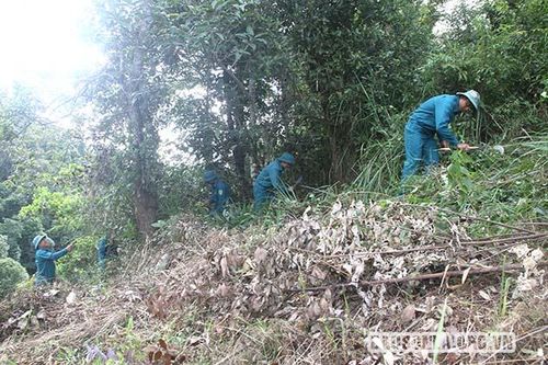 Bảo đảm tiến độ chi trả dịch vụ môi trường rừng
