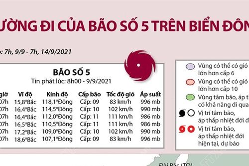 Infographic: Đường đi của bão số 5 trên biển Đông