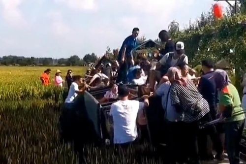 Chuyến tàu chở hành khách bị lật giữa cánh đồng