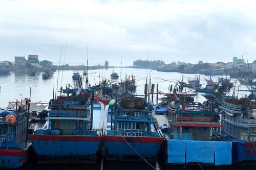 Quảng Ngãi: Vừa lo chống bão, vừa lo chống dịch Covid-19