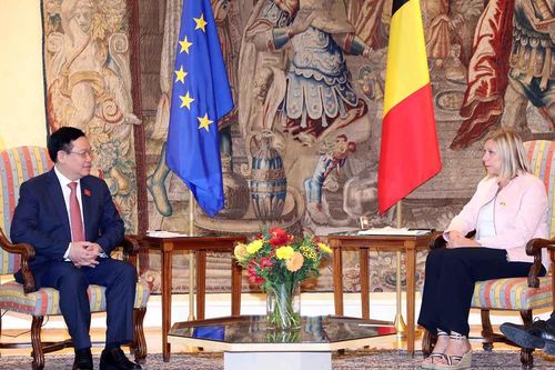 Việt Nam sẵn sàng là cầu nối giữa EU, Bỉ với ASEAN