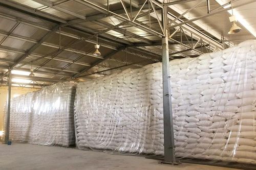 Hơn 1.800 tấn gạo hỗ trợ người dân tại Quảng Nam, Quảng Ngãi