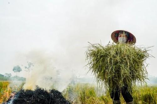 Vỏ lạc, vỏ chuối, dưa hấu, rơm rạ... là 'vàng' nhưng chúng ta lãng phí