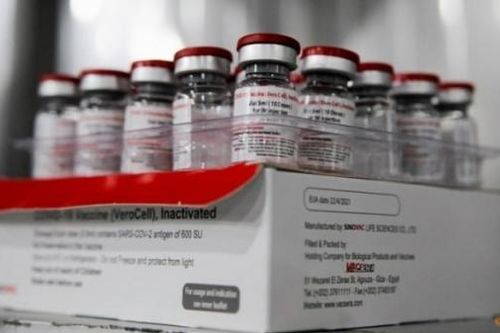 Sinovac thử nghiệm vaccine với trẻ em tại Nam Phi
