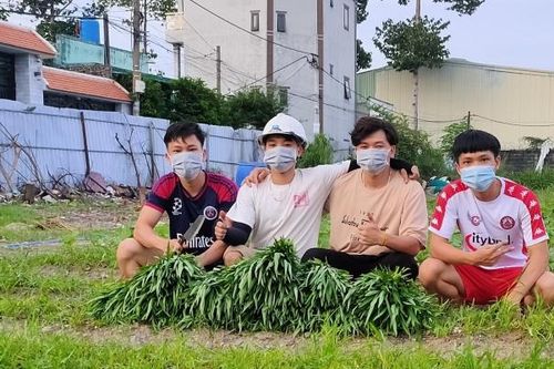 Nhóm sinh viên 9X khai hoang 2000m2 đất trống, trồng rau đem tặng người dân