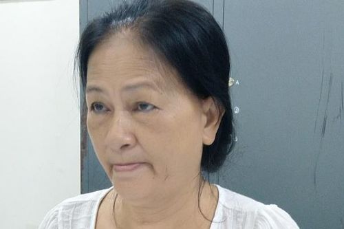 Bắt giam người phụ nữ 62 tuổi vì có mưu đồ 'lật đổ chính quyền'
