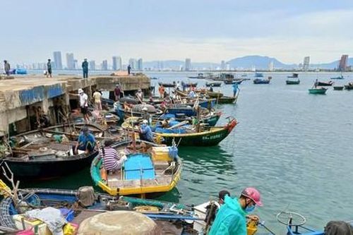 Bão Côn Sơn ảnh hưởng đất liền từ đêm nay, mưa dọc miền Trung