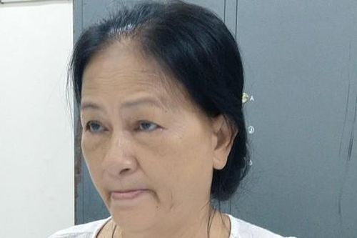 Một phụ nữ 62 tuổi bị điều tra về hành vi hoạt động nhằm lật đổ chính quyền