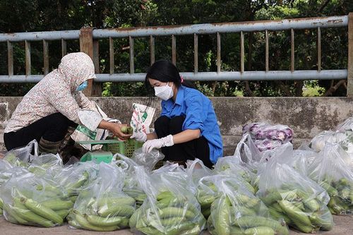 Thủ tướng: Hỗ trợ kết nối đầu ra cho nông sản ở nơi giãn cách xã hội