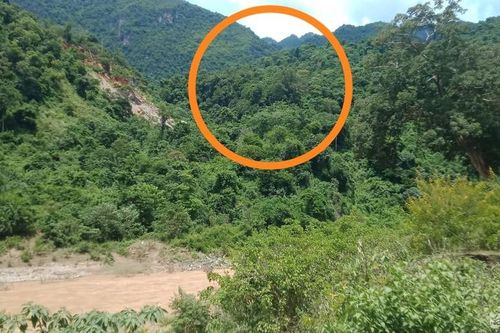 2 lao động Nghệ An thương vong khi đi khai thác gỗ ở nước bạn Lào