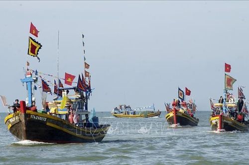 Phục dựng lại Lễ hội Cầu ngư ở ngôi vạn thờ 100 bộ xương cốt Cá Voi