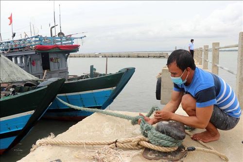 Chủ động phương án sơ tán, di dời các hộ dân vùng có nguy cơ bị ảnh hưởng bão số 5