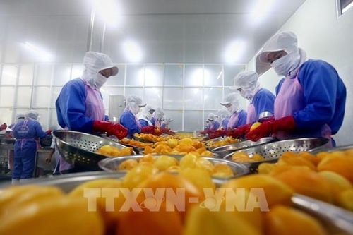Algeria tạm ngừng nhập khẩu nhiều mặt hàng có nguồn gốc từ động vật