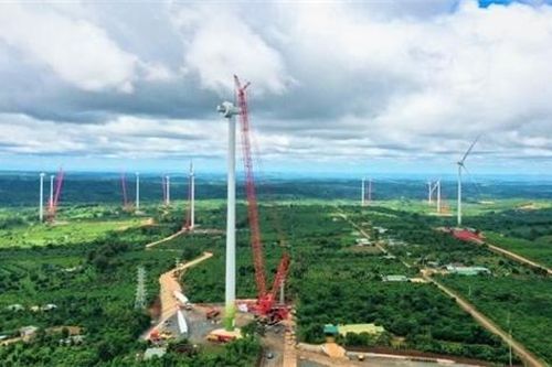 Nhà đầu tư điện gió kêu cứu vì EVN thay đổi chính sách COD