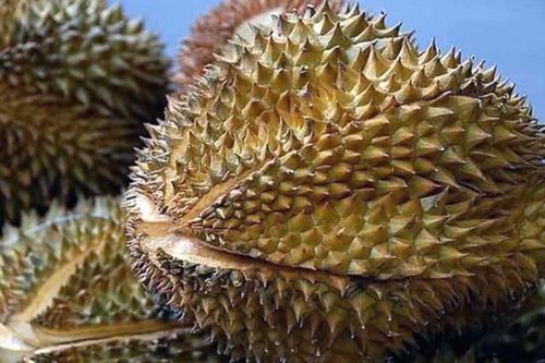 Việt Nam đang lãng phí phụ phẩm nông lâm thủy sản