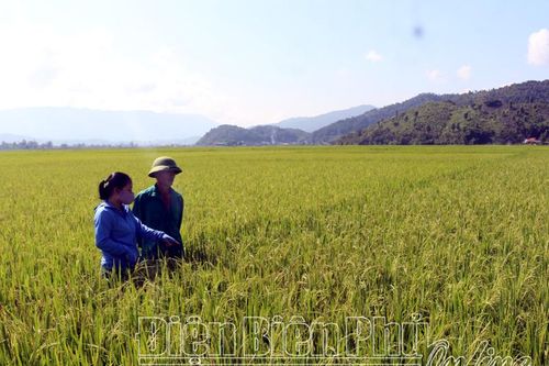 Áp dụng khoa học kỹ thuật trong sản xuất