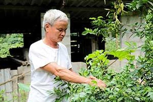 Người có uy tín tiêu biểu ở Nhất TiếnTin khácNgành giáo dục tận dụng thời gian 'vàng' để dạy họcĐảm bảo chất lượng thuốc, đáp ứng nhu cầu chăm sóc sức khỏe Nhân dân