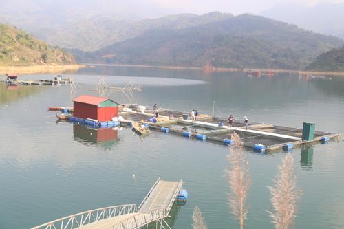 Cải thiện tiêu chí thu nhập cho người dân Cốc Ly