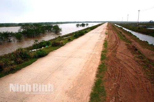 Bảo vệ đê điều- Nhiệm vụ cấp bách và lâu dài: Kỳ 3: Nâng cao hiệu quả công tác quản lý, bảo vệ đê điều