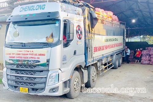 Những chuyến xe nghĩa tình hướng về Đà Nẵng