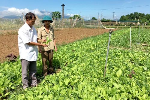 Tiếp sức nông sản sạch