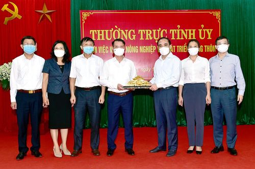 Thường trực Tỉnh ủy làm việc với Sở Nông nghiệp và Phát triển nông thôn