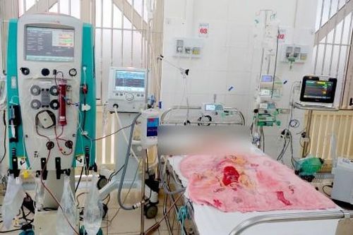 Y tế - Sức khỏe Y tế - Sức khỏe Cứu sống bé 5 tuổi nguy kịch tính mạng vì bị ong đốt