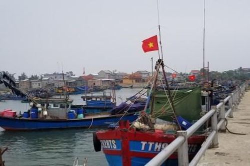 Kinh tế Kinh tế Tàu thuyền trở về neo đậu, trú tránh bão an toàn