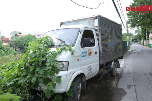 Lâu không hoạt động, nhiều ô tô 'đắp chiếu', bị dây leo bám chằng chịt
