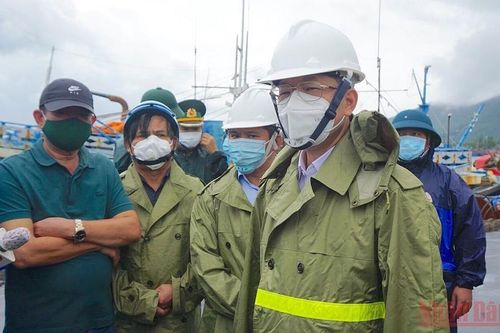 Đà Nẵng kiểm soát chặt việc ngư dân vào tránh trú bão tại âu thuyền Thọ Quang
